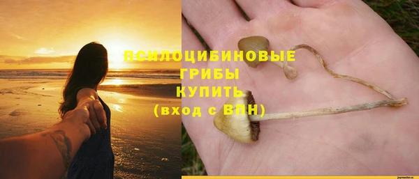 прущие крисы Вязьма