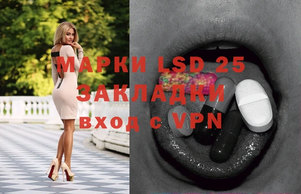 ECSTASY Ладушкин