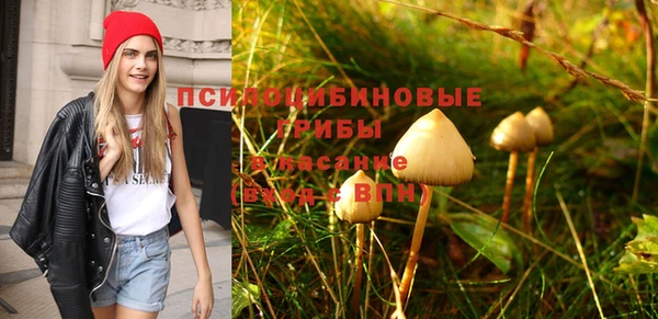 героин Вяземский