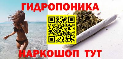 крисы Донской
