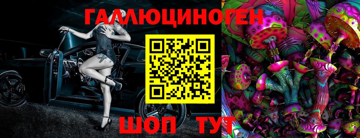 Галлюциногенные грибы Psilocybine cubensis  Минеральные Воды 