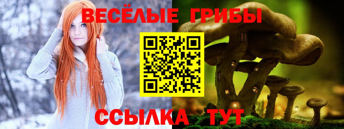 Галлюциногенные грибы Cubensis Минеральные Воды