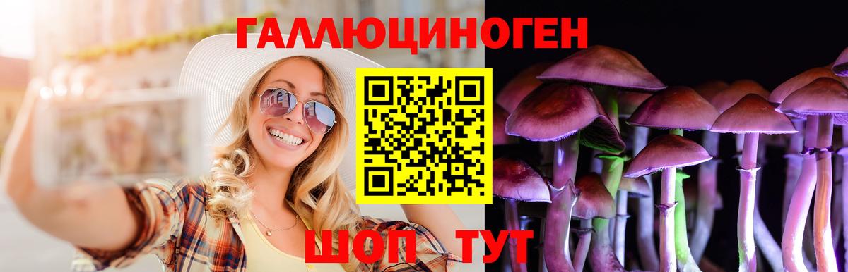 Псилоцибиновые грибы Cubensis Минеральные Воды