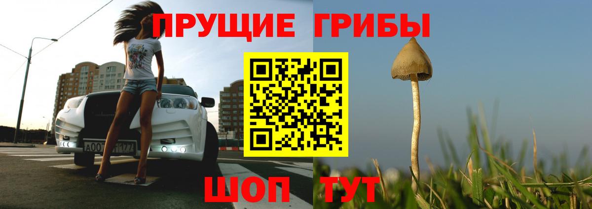 Галлюциногенные грибы Psilocybe  Вход с VPN  Минеральные Воды  Галлюциногенные грибы мицелий 